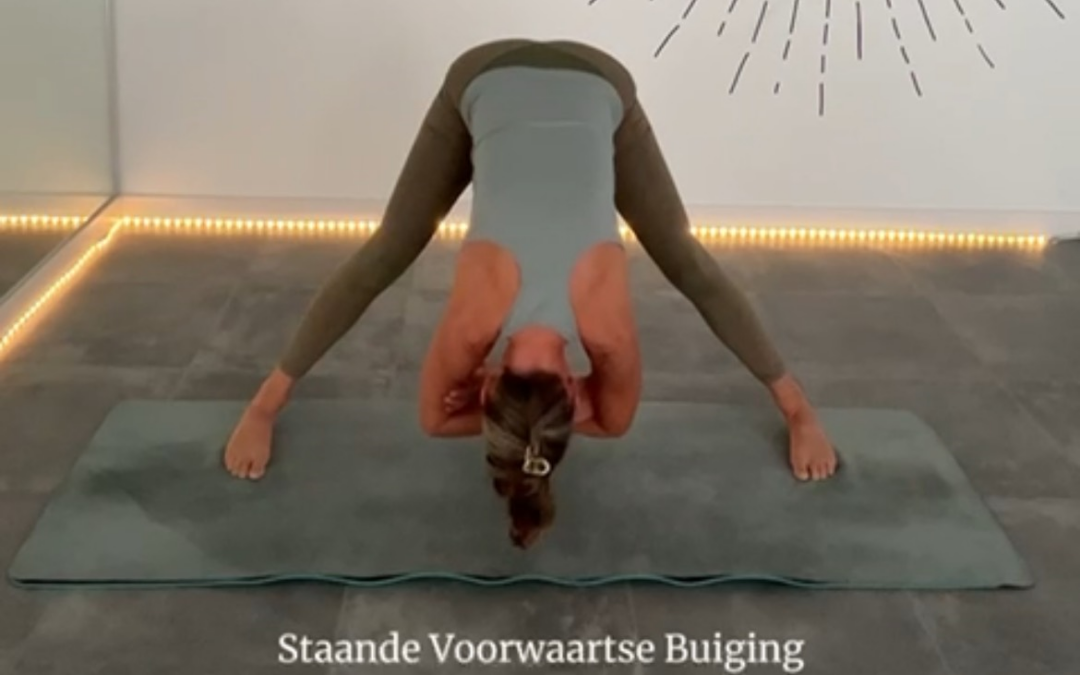 6 yogahoudingen om te stretchen