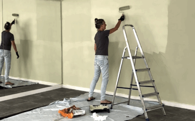 Nieuwe kleuren in de studio’s